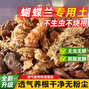 蝴蝶兰专用土保湿透气智利毛毛虫水苔精选树皮混合植料加套盆装