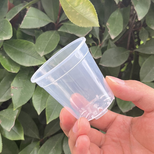 高透明观根蝴蝶兰专用花盆小口径拇指盆家用塑料透气防烂根观赏盆