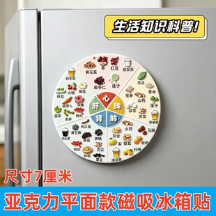 亚克力磁吸养生冰箱贴五脏六腑食疗图谱家庭生活健康科普装饰贴