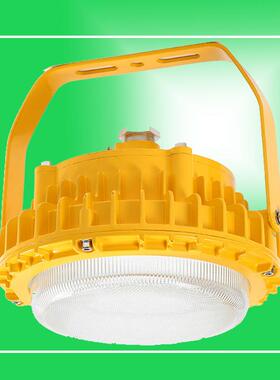 NSC9720防爆防眩泛光灯12V24V球形带支架安装隔爆灯100W