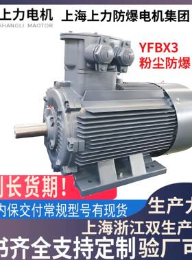 YFBX3-100L-23W高效率粉尘防爆电机上海大厂沪浙生产基地交