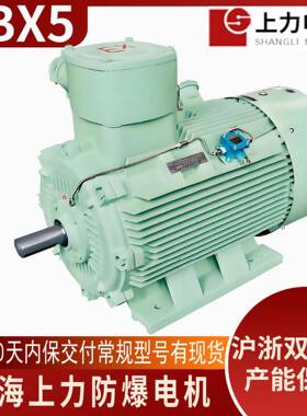 YBX5-80M2-21.1W防爆电机有防爆合格证支持验厂ExdbIIBT4Gb