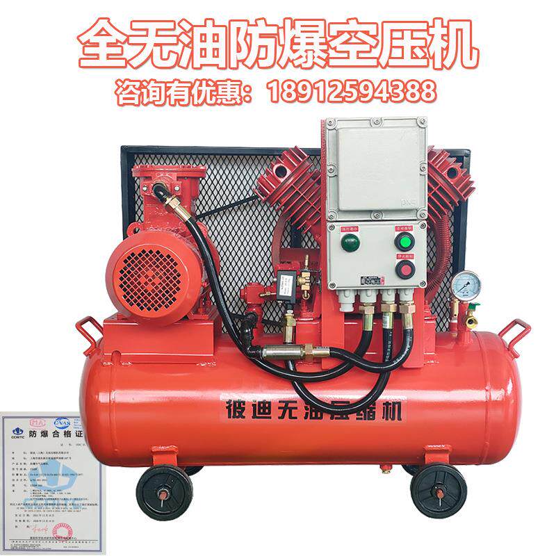 防爆空压机气泵BT4/CT4油田化工粉尘高压小型活塞式空气压缩机