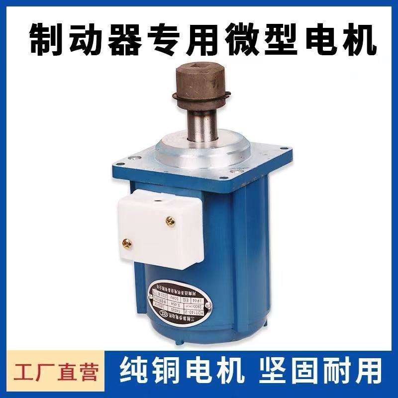 河南达圣电机 B062Z-II 60W 制动器微型电机 推动器电机