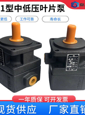 液压YB1叶片泵油泵单双联YB1-6 YB1-10/16/4/20/25/40/63/80/125