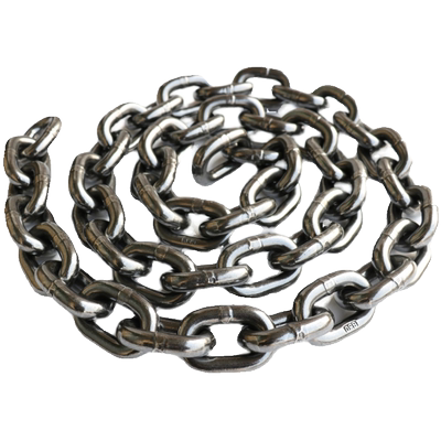 0.5吨环炼鬼头电动葫芦1t