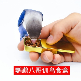 鸟奖励训练食盒训鸟鹦鹉上手亲人食罐推拉滑动食盒外带食盒虫盒子