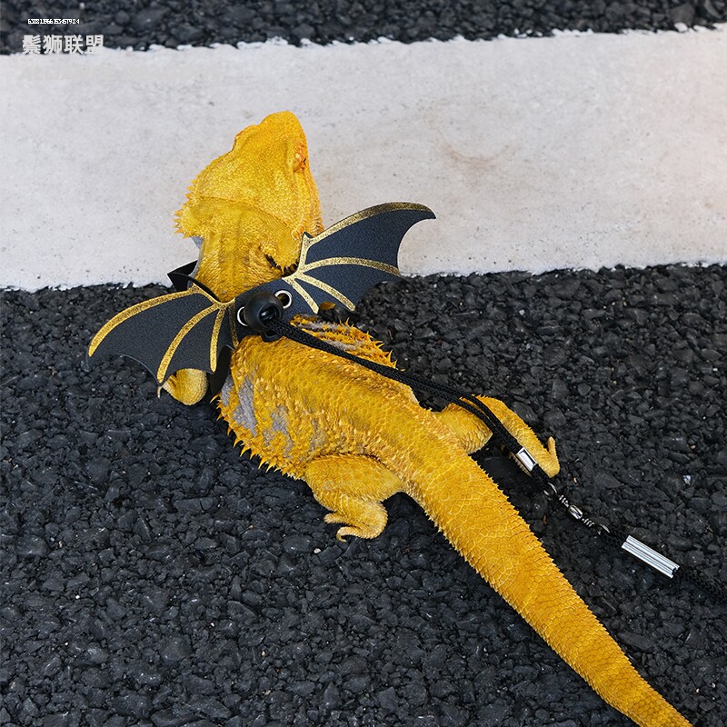 蜥蜴牵引鬃狮爬宠外出牵引带遛守宫蜥蜴绳小宠皮革翅膀牵引绳