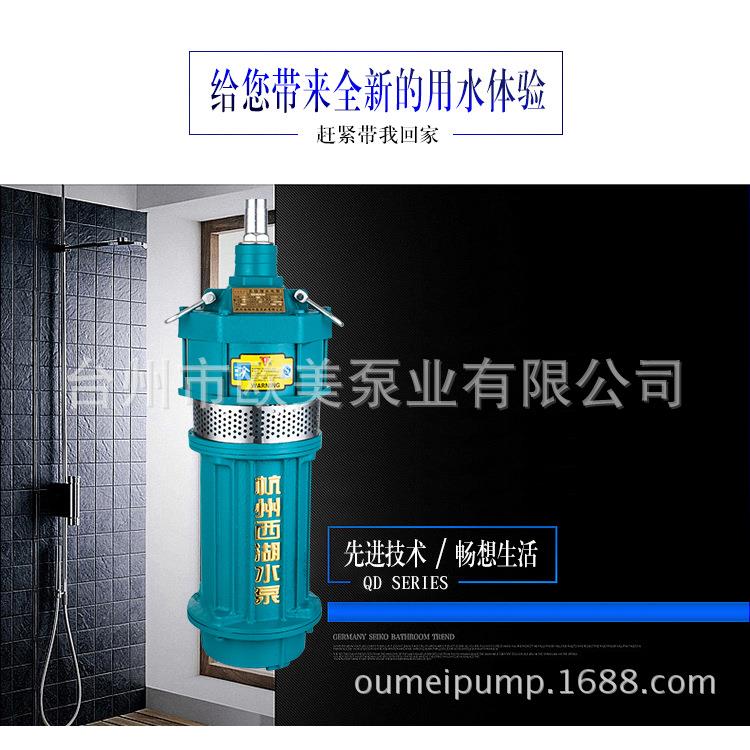 单三相家用大流量潜水泵养殖灌溉抽水喷灌高扬程多级小老鼠1寸2寸