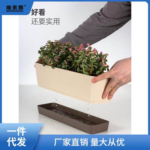 多肉花盆长条型窄边细长窗台种植塑料阳台花盘花槽盆栽家西辰
