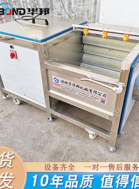 供应辊毛清洗机 莲去藕去泥脱皮清洗机 FVG设根茎类蔬菜皮清洗备
