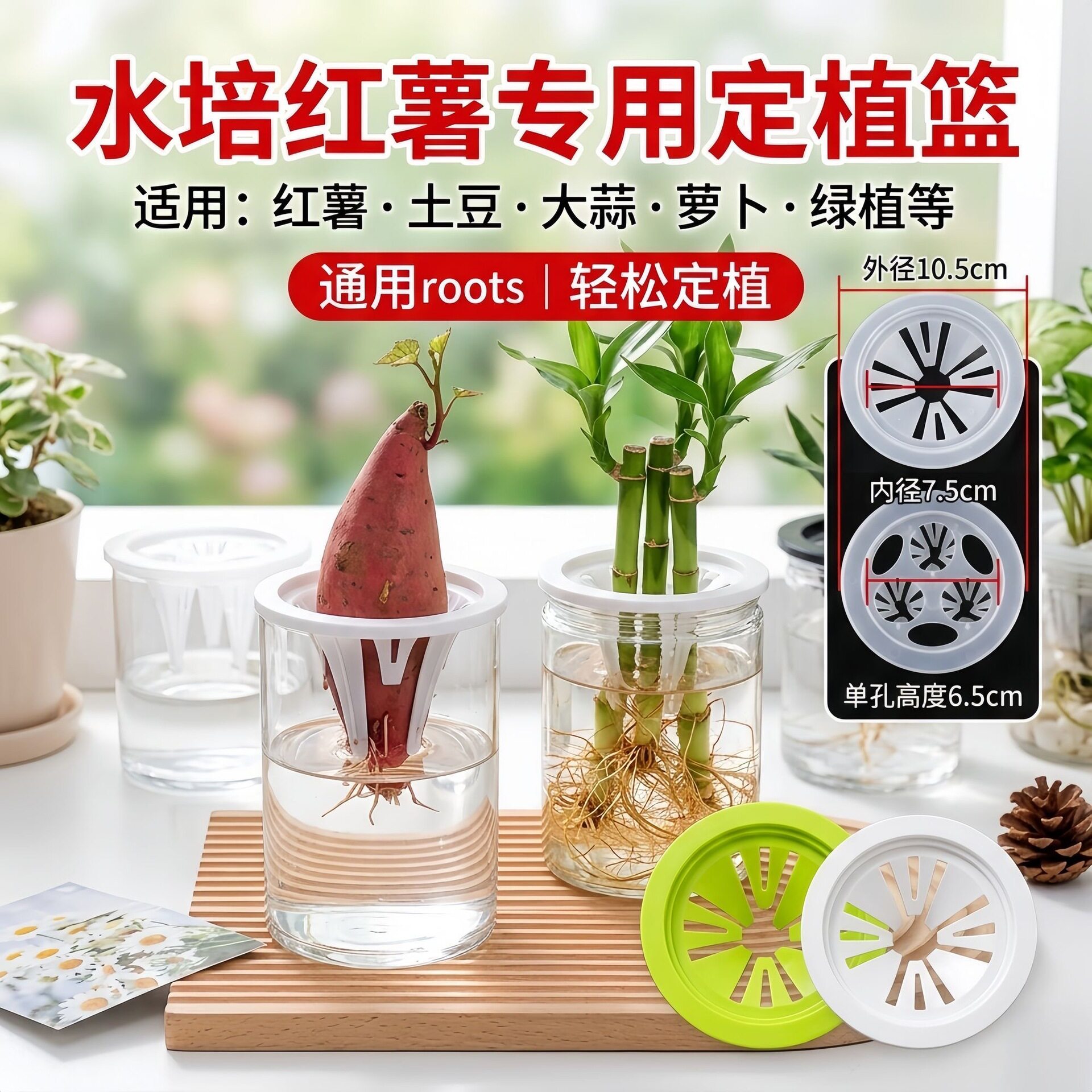 10厘米口径定植篮多款式水培土培蔬菜花草豆子粮食种子绿植花卉