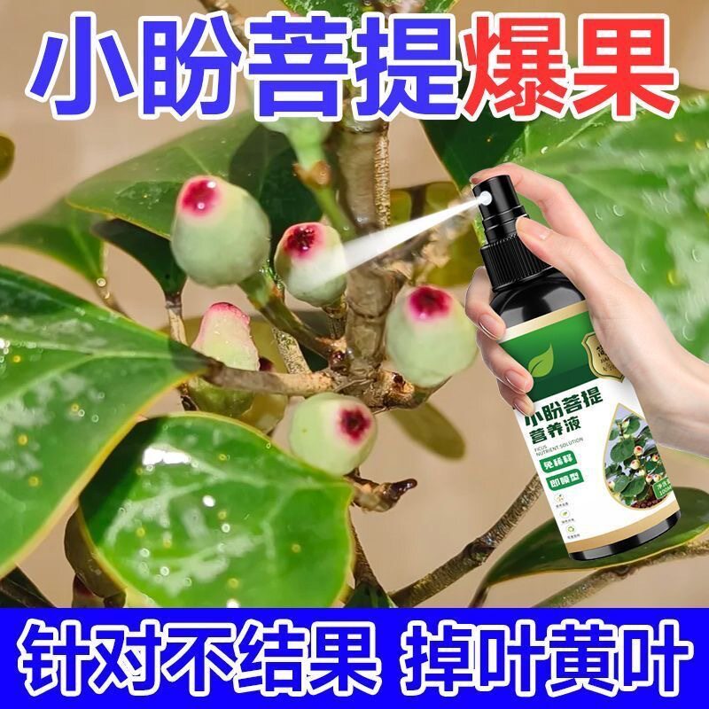 小盼菩提营养液防黄叶烂根绿叶促开花结果家用免稀释盆栽液体花肥