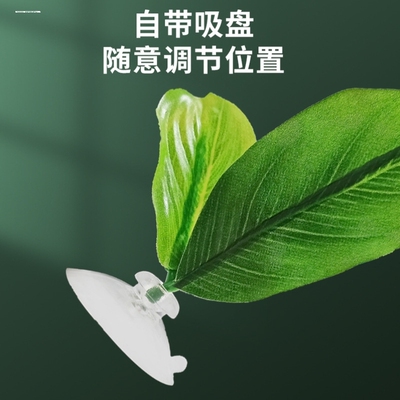斗鱼休息叶真仿真水草树叶躲避屋造景漂浮装饰栖息睡觉产卵斗鱼床