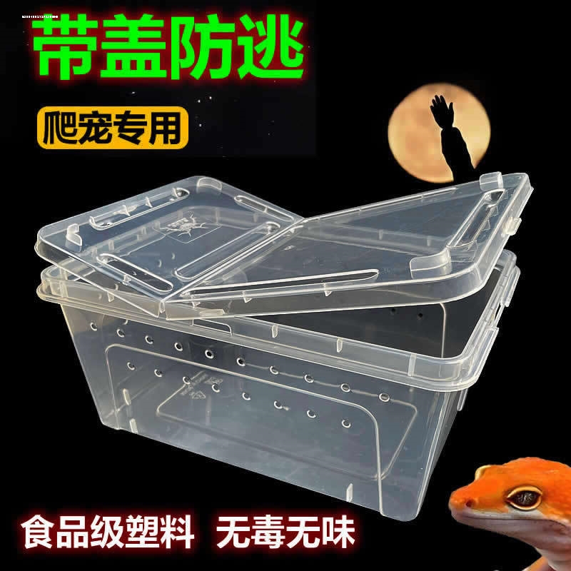 养蚕专用盒蚕宝宝专用饲养盒爬宠饲养箱养蚕用的盒子蚕活体高透养