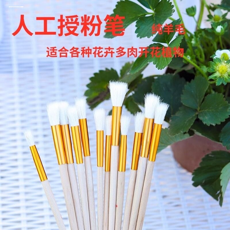 授粉笔人工授粉器草莓多肉猕猴桃果树授粉笔花粉点花授粉工具笔刷图片