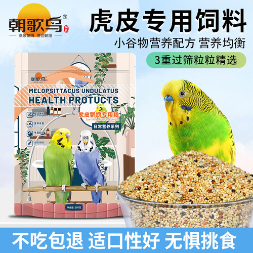 朝歌鸟虎皮专用饲料谷子加纳利子