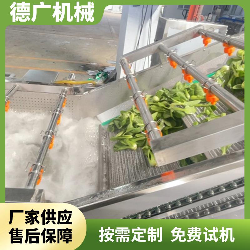 鼓泡式苹果大枣清洗机器海鲜气泡清洗机大姜土豆清洗加工设备
