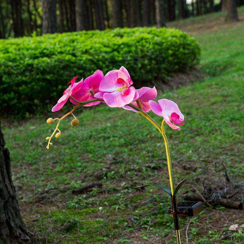 新品5led蝴蝶兰灯仿真粉红蝴蝶兰花地插灯LED灯粉色花园灯庭院灯,电子元器件市场,集成电路（IC）,淘宝优惠券,粉丝福利购,淘宝优惠卷