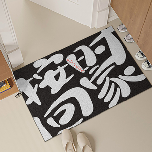 简约入户门丝圈地垫家用门口进门门垫玄关蹭土踩脚垫门外耐脏地毯