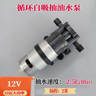 耐腐蚀耐高温化工泵小型自吸增压抽油泵 12V齿轮泵g循环抽水泵灌装