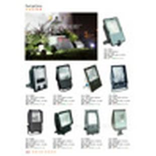 厂家供应热卖户外泛光灯投光灯射灯射树灯红胜照明