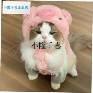 猫咪头套可爱小猪帽子宠物w小狗狗马尔济斯约克夏比熊可爱拍照头l
