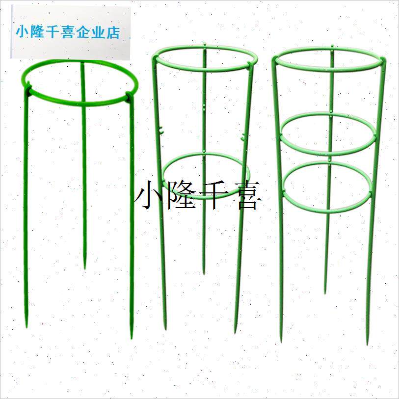 兰花支伸缩杆芦荟仙人掌黄金葛支C架昙花架子护叶造型支架迷你爬l