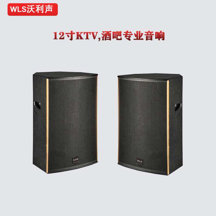 专业酒吧KTV音响12寸家庭会议派对舞台音箱大功率歌剧院影院音响