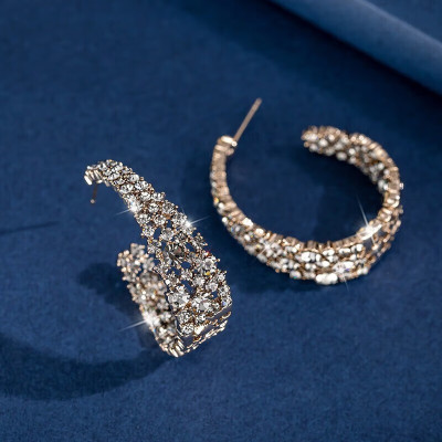 夸张耳饰耳钉女纯银耳坠大耳圈独特耳环2024新款爆款高级感轻奢