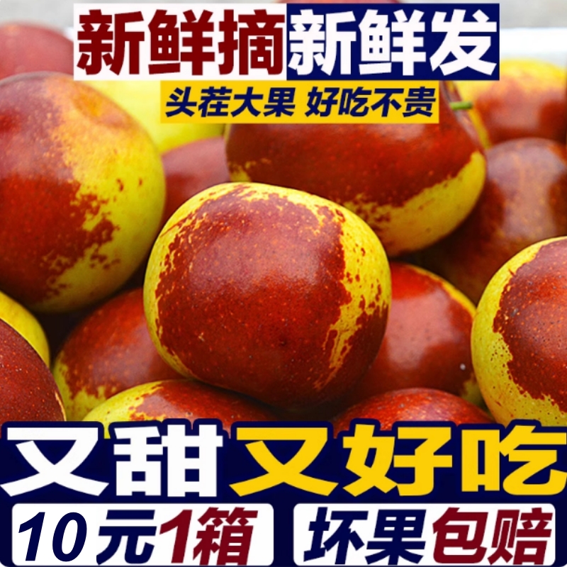 山东沾化新鲜水果冬枣5斤
