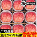 包邮 正宗陕西红富士洛川苹果水果新鲜当季 整箱冰糖心一级脆甜10斤