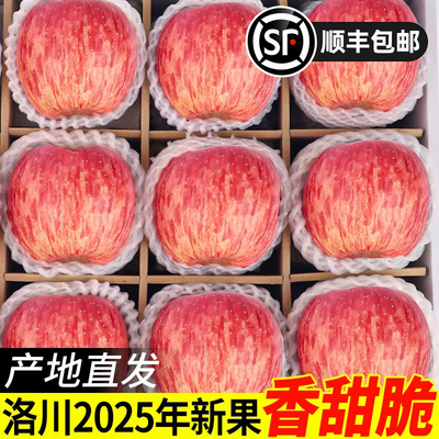 正宗陕西洛川苹果整箱10斤