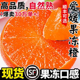 四川眉山正宗爱媛38果冻橙9斤现摘现发新鲜水果当季 橙子产地直发