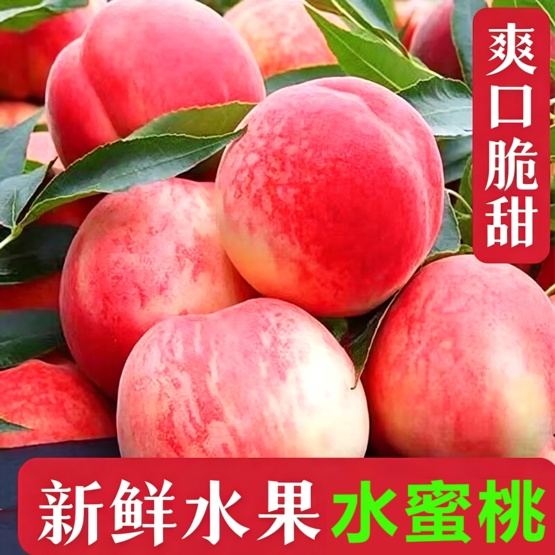 现摘现发当季脆毛桃包邮