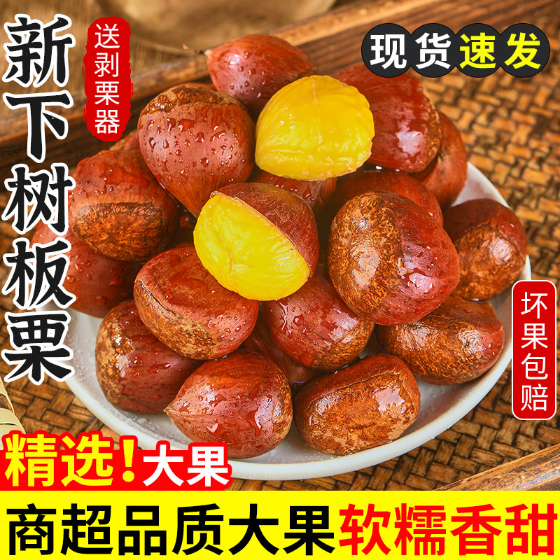 2026新下树丹东大板栗软糯香甜