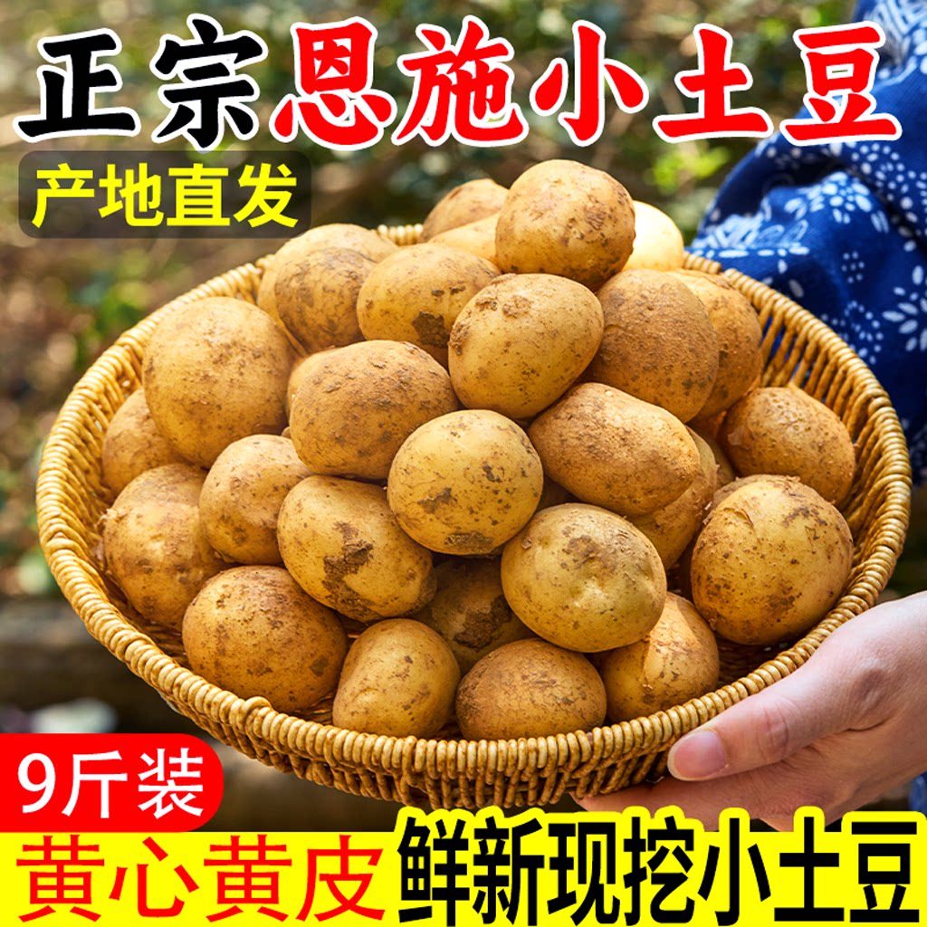 恩施现挖新鲜黄心小土豆整箱
