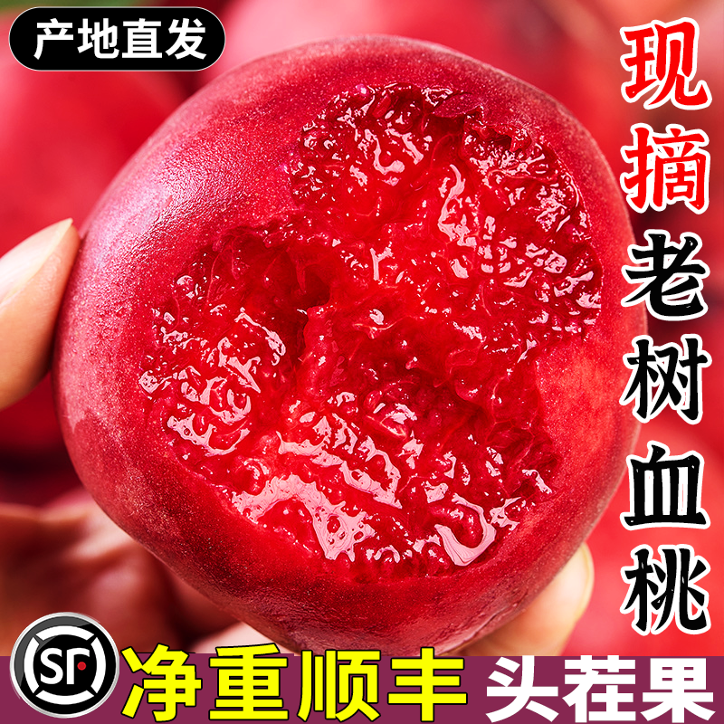 当季现摘老树血桃脆甜大果