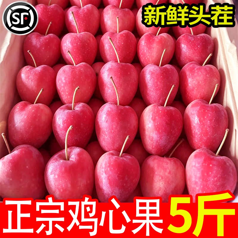 正宗东北锦绣海棠果脆甜5斤