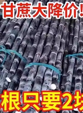 正宗广西黑皮甘蔗薄皮现砍现发新鲜水果榨汁切节整箱应季柑脆批发