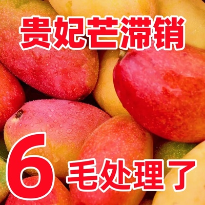 海南贵妃芒芒果新鲜当季水果