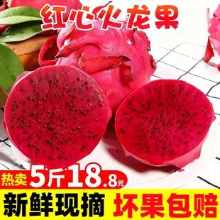 海南金都一号红心火龙果5斤整箱大果新鲜当季红肉密宝水果包邮10