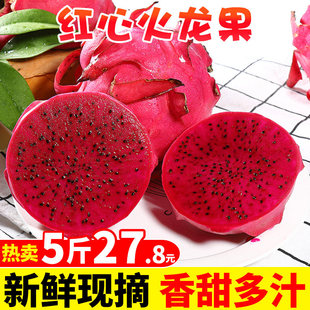 海南金都一号红心火龙果5斤整箱大果新鲜当季红肉密宝水果包邮10