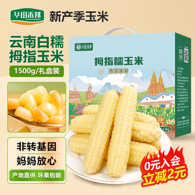 华田禾邦云南2025年新鲜拇指玉米