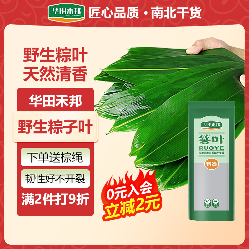 华田禾邦野生粽叶大号粽叶端午节