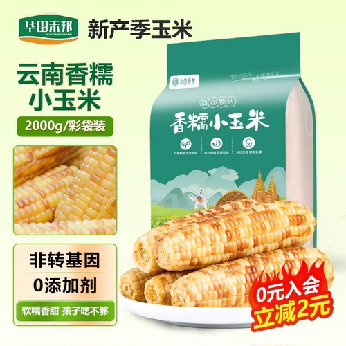 应季新玉米非转基因低脂有嚼劲