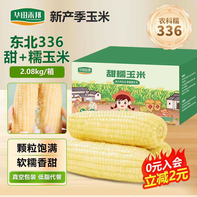 25年新玉米华田禾邦甜糯玉米东北新鲜玉米棒早餐低脂健身杂粮苞米