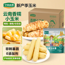 云南西双版 2025年新鲜香糯玉米 纳香糯小玉米早餐真空包装