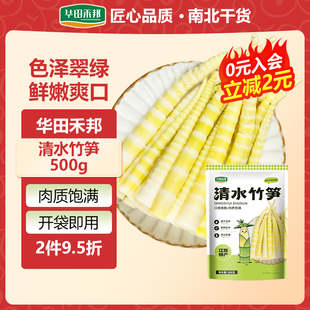 华田禾邦水煮清汁笋小竹笋脆笋嫩笋尖清水小竹笋凉拌火锅食材