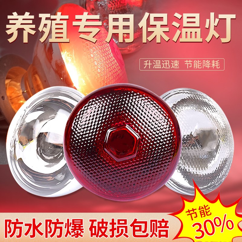 小猪保温灯小鸡育雏加热保温灯养殖场I专用保温灯防水防爆取暖灯
